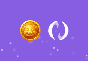 پنج گام مهم برای استقبال از همستر در نوبیتکس