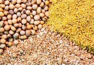 وزارت جهادکشاورزی درمورد سهمیه‌های ارزی تغییر موضع داد