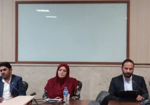 توقف صدور مجوز پلتفرم‌های طلا به دستور شورای عالی امنیت ملی؛