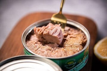 ماهی‌های بزرگ‌تر، خطرناک‌تر!