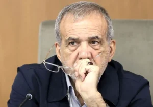 اهمیت حضور نق‏‌زن‏‌ها و کنترل کیفیت در سیاست