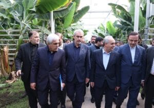 زیان ۲۰ میلیون دلاری مقابل چشم وزیر اقتصاد