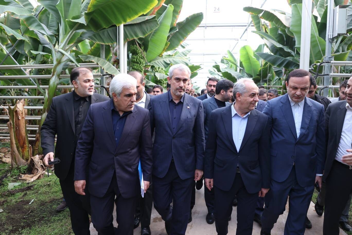 زیان ۲۰ میلیون دلاری مقابل چشم وزیر اقتصاد