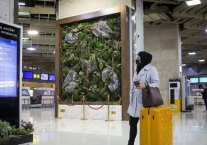 بلیط هواپیما گران می‌شود