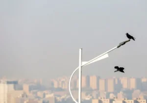پنجره را باز کن خفه شدیم