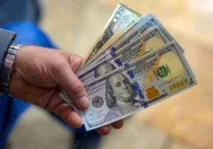 ریسک خرید دلار و سکه بیشتر است یا ارز دیجیتال؟