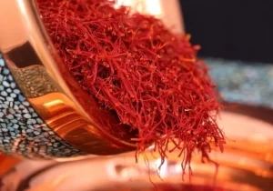 صادرات زعفران با قطعی اینترنت از بین رفت