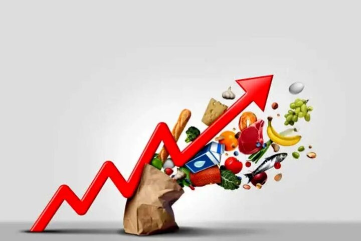 بررسی ریشه‌های تورم ۶۲ درصدی/ شقاقی: رکود تورمی محصول فشار خارجی و سیاستگذاری داخلی است