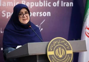 سخنگوی دولت: ممنوعیت فعالیت پلتفرم‌ها تنها با دستور رئیس جمهور ممکن است