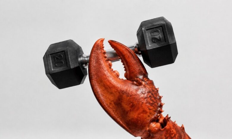 ایجنت هوش مصنوعیOpenClaw سیستم رزرو باشگاه را هک کرد